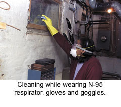 cleaning mold